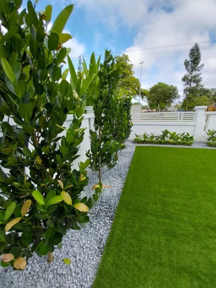 Pilihan lain - Planting